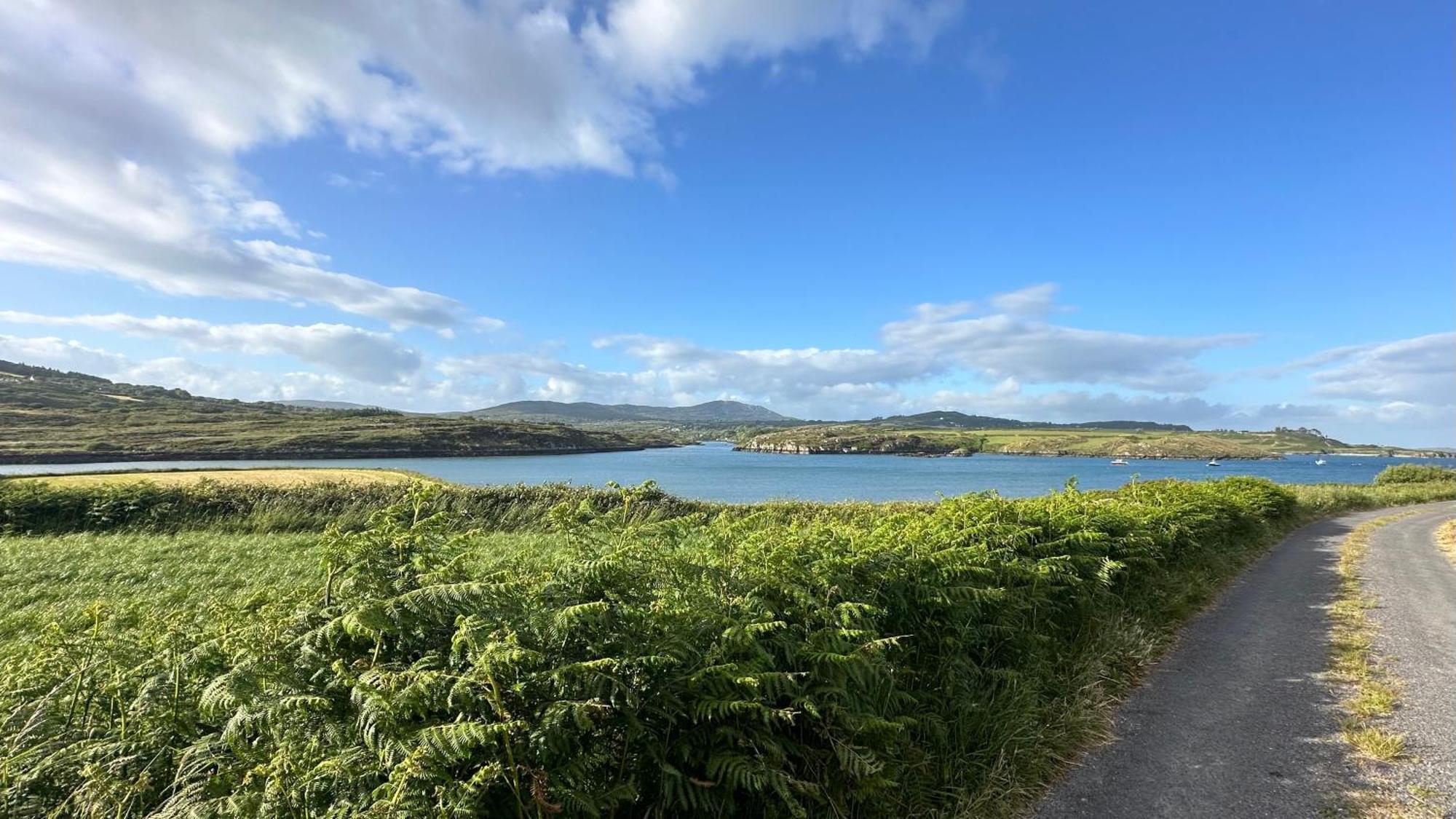 Seafront House With Own Private Pier In Gunpoint, Schull, West Cork Βίλα Seafort Εξωτερικό φωτογραφία