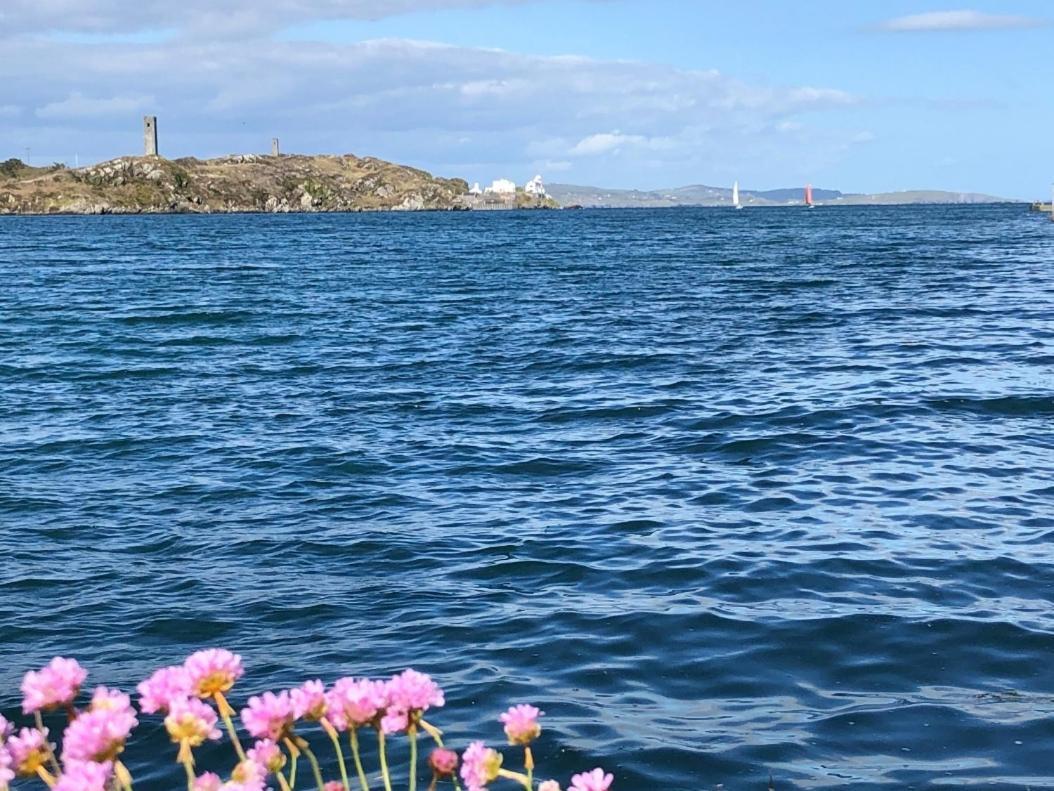 Seafront House With Own Private Pier In Gunpoint, Schull, West Cork Βίλα Seafort Εξωτερικό φωτογραφία